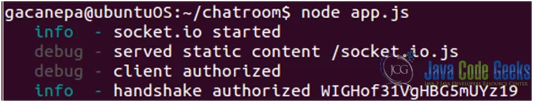 Figure 5: Nginx Websockets proxying guide: Starting the web application