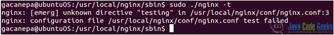 Figure 4: Testing the nginx.conf file